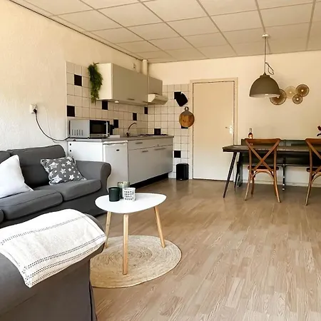 Duingeluk By Droomvilla Holiday home Schoorl